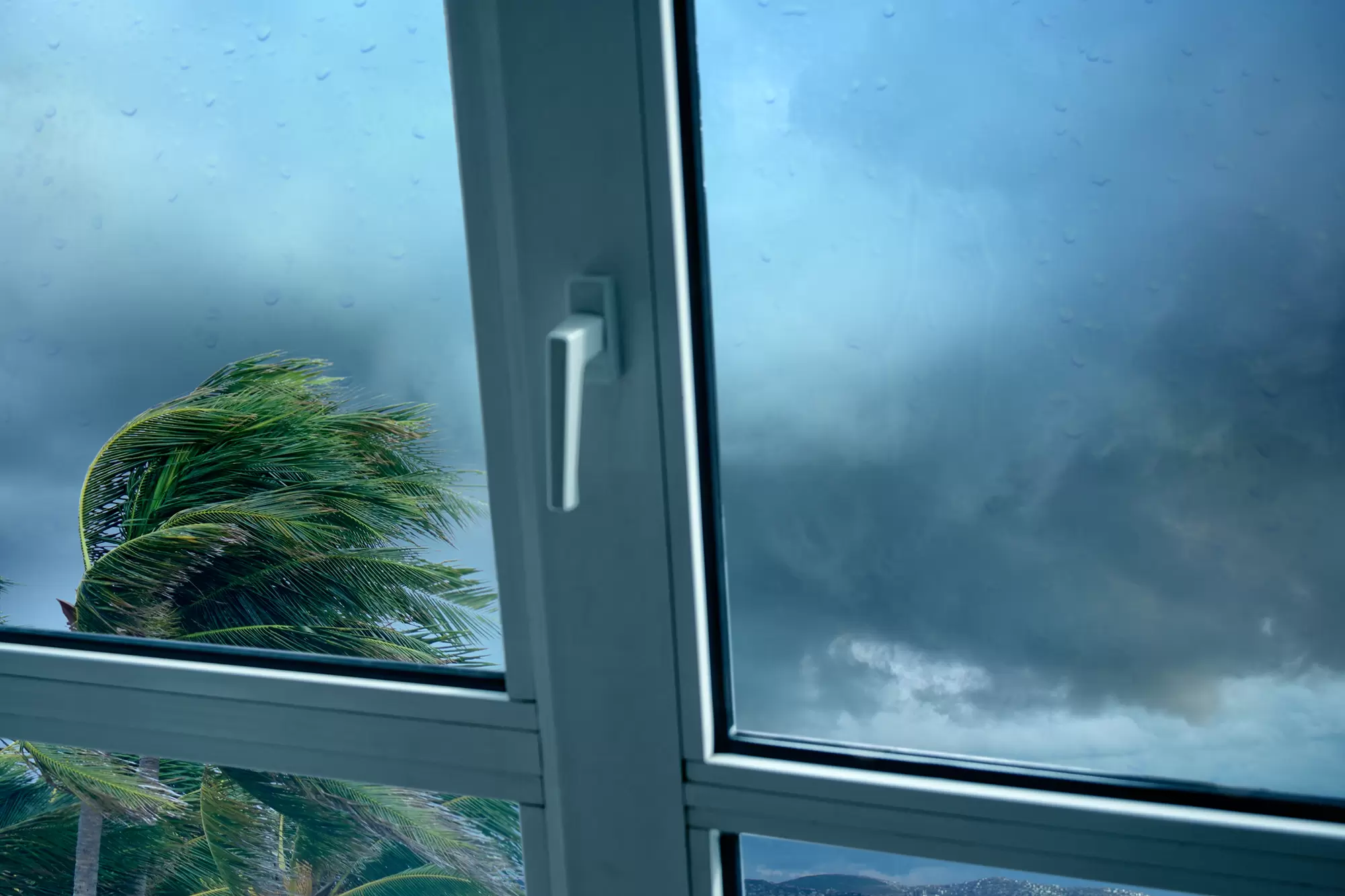 Close-up of a window handle with a violently blown tree outside.