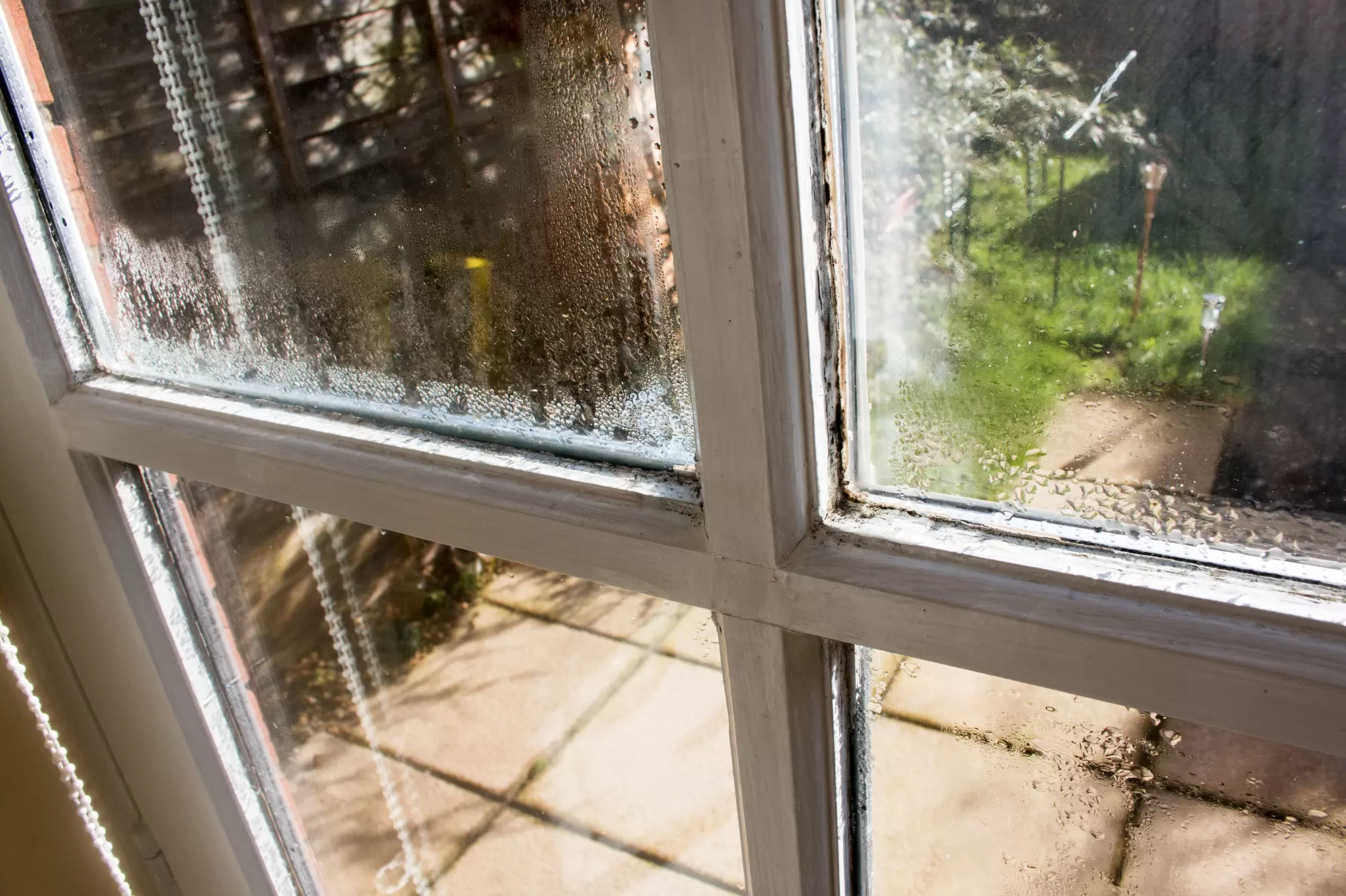 Close-up of an old window frame with moisture beading.