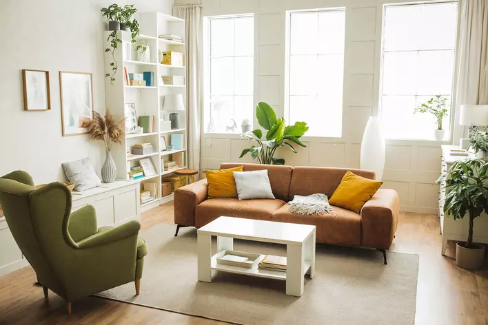 A living room with several potted plants, which can cause condensation on the inside of
            windows.