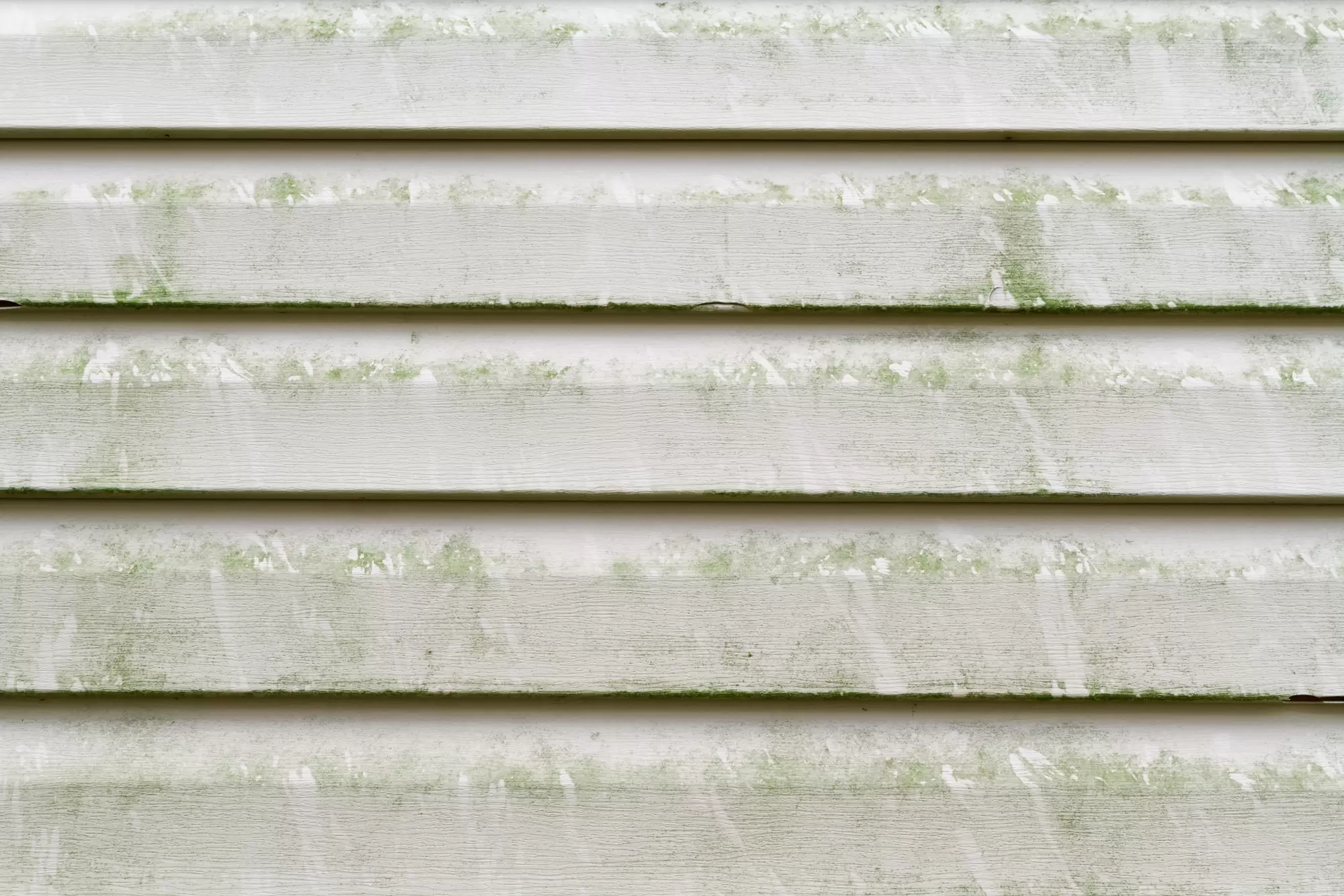 Dirty house siding with mold and mildew buildup.
