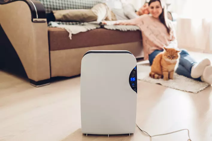 A couple and their cat sitting in their living room around a dehumidifier helping to suck
away extra moisture.
