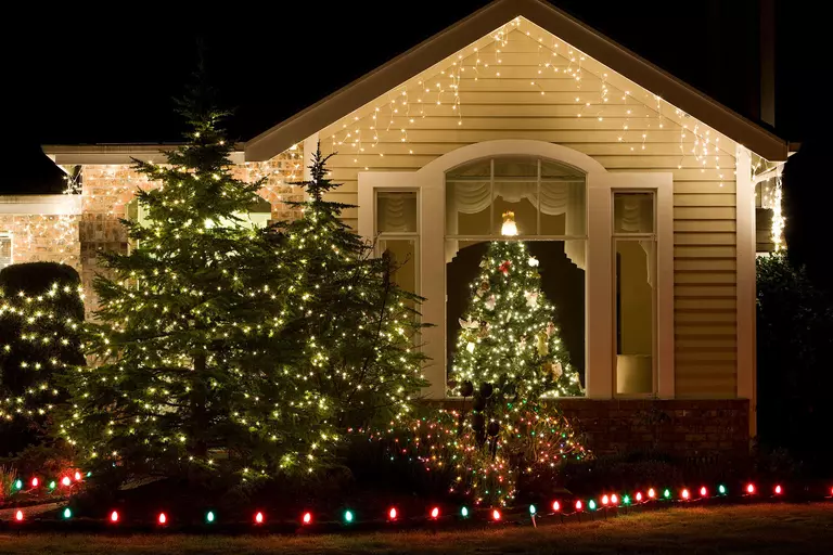 A Christmas tree in front of a custom-shaped window with other evergreens decorated outside.
