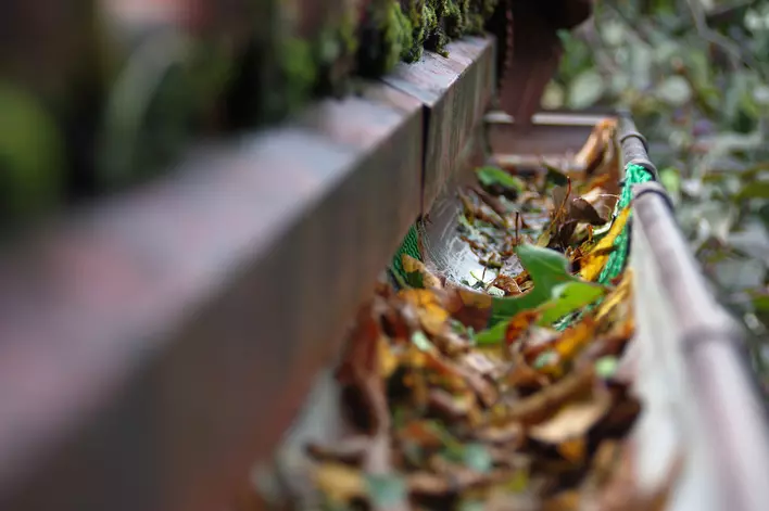 A messy gutter filled with leaves