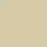 Exterior Colors - Tan