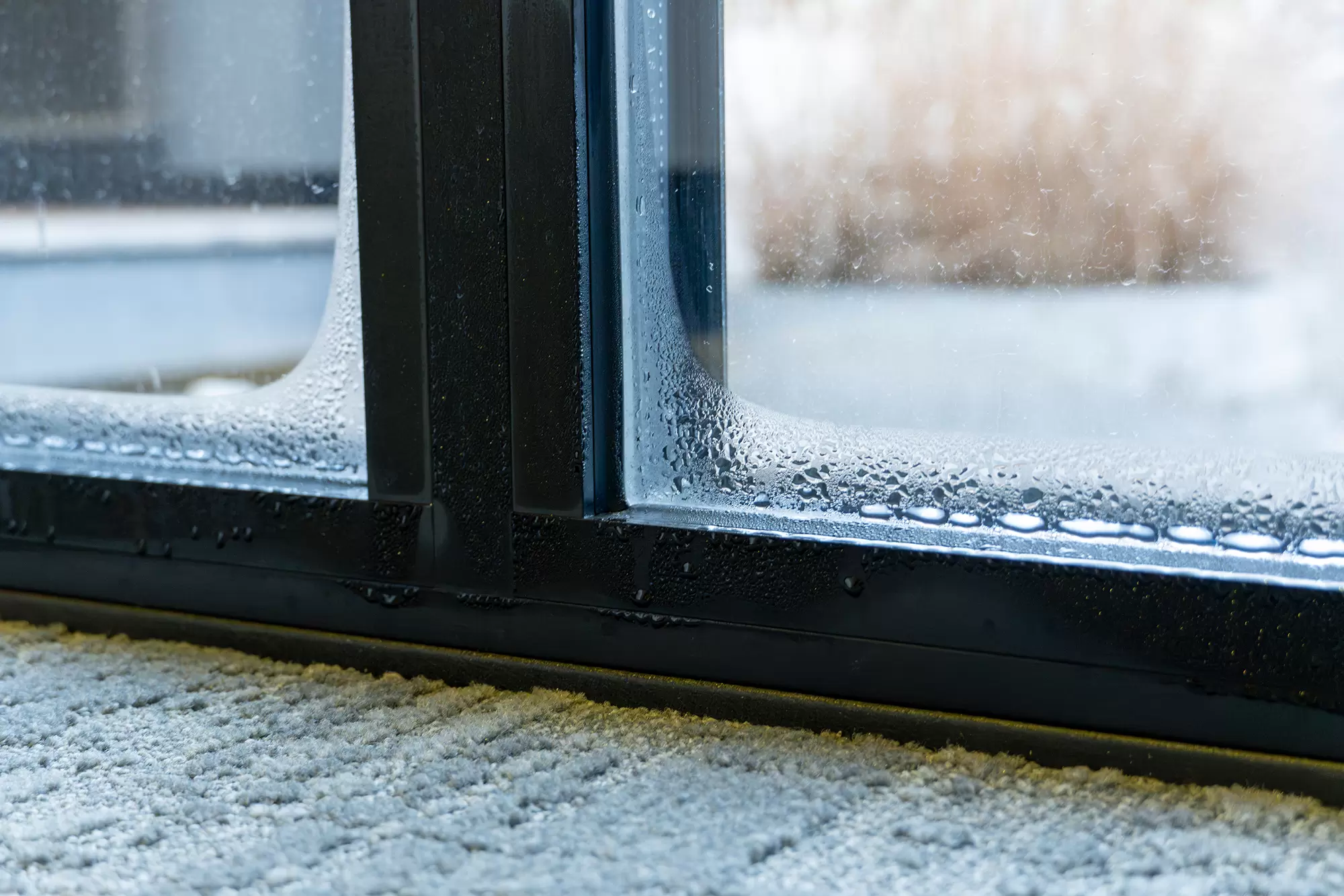 Close-up of condensation on the inside of a window.