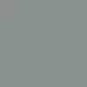 Exterior Colors - Silver