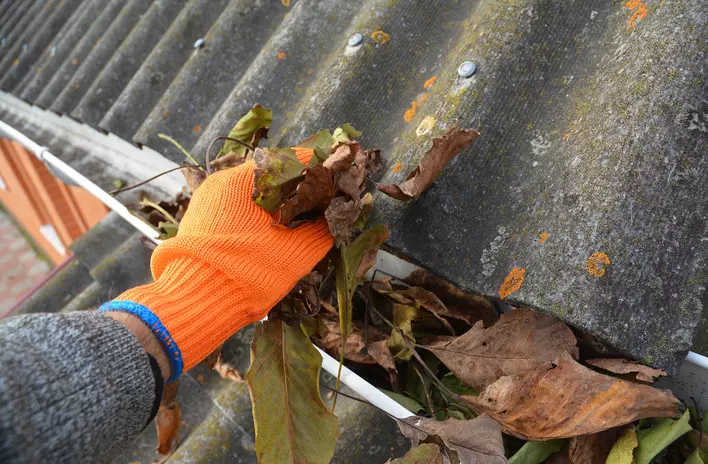 Gutters filled with leaves being cleaned out to help them more efficiently funnel water away from a roof.