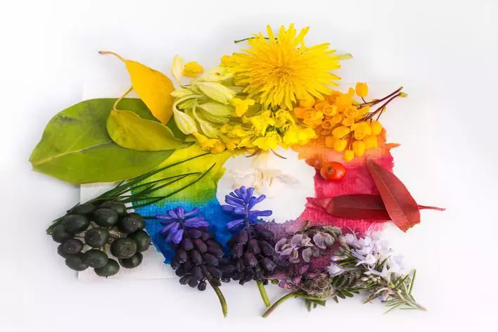 Color Theory art