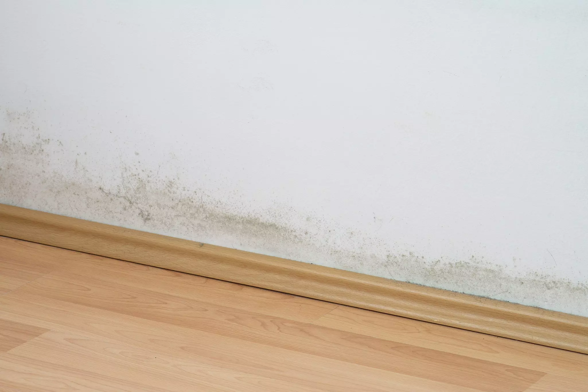 White interior wall showing mildew, water stains, and moisture buildup near the baseboard.
