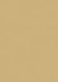 Hardware Finishes - Champagne