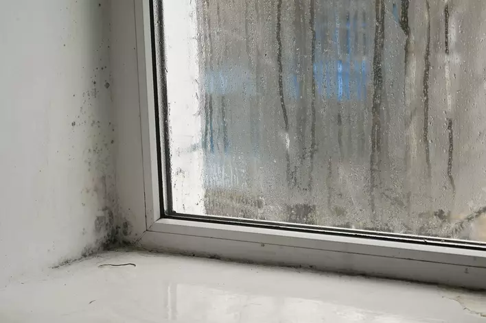 Condensation on a window with mold surrounding the window frame.