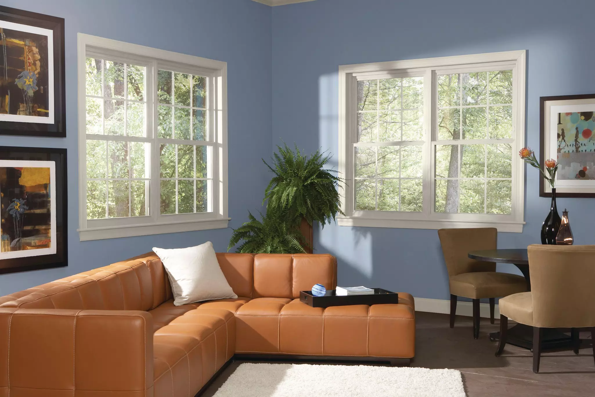 Living room with multiple double-hung windows.