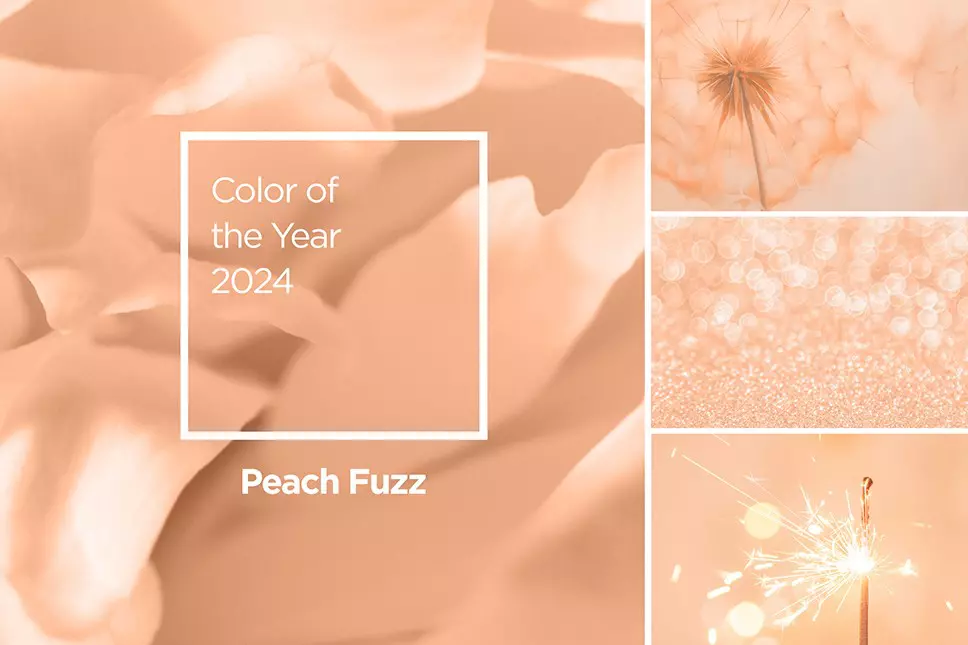 2024 Pantone Color of the Year: Peach Fuzz