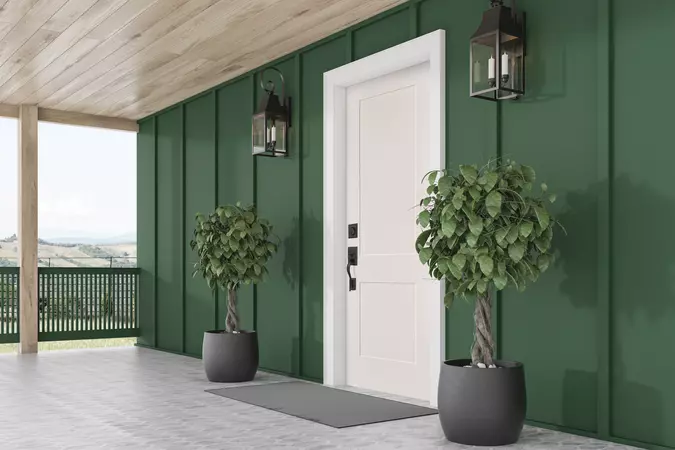 A white 2 panel smooth steel door with a black handleset on a home with forest green siding