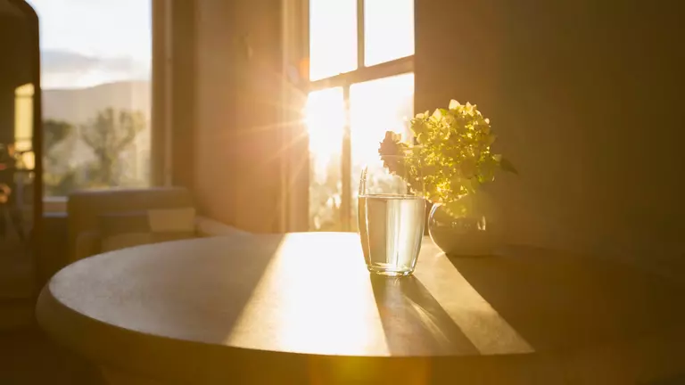 Sun shining in a window behind a flower in glass and a cup of water on a table