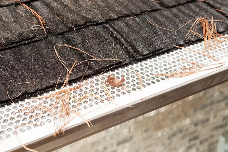 A gutter guard with a mesh screen and pine straw collected on top.