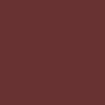 Paint - Dried Cranberry