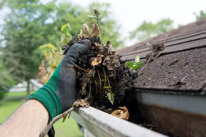 Close-up of a gloved hand holding dirt while cleaning out gutters 