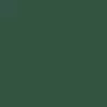 Exterior Colors - Forest Green