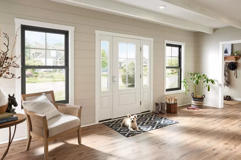 A dog sitting on a mat in the entryway of a home surrounded by fiberglass windows