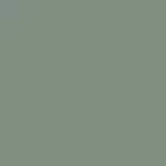Color - Quiet Willow