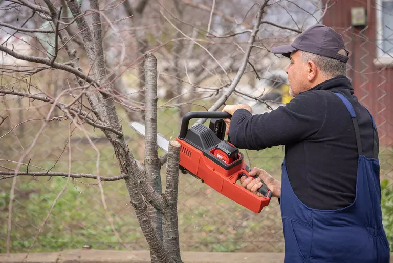 Man trimming a tree and hanging branches outside of a home.
