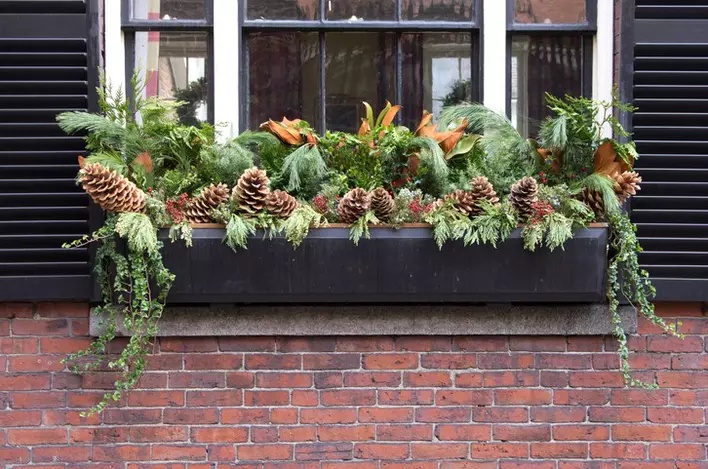 A black window box filled with pinecones and green shrubbery bordered by black shutters on a red brick home.