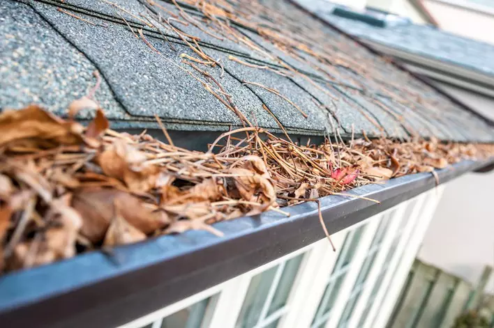 Clogged gutters filled with dirt and leaves on the roof of a home