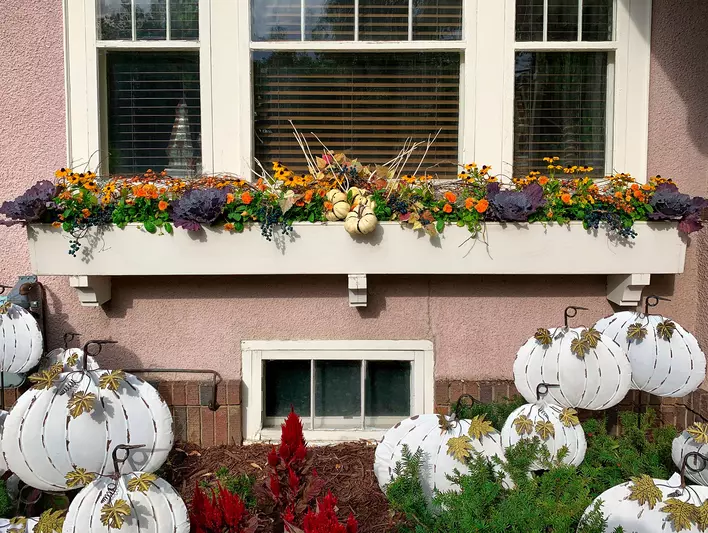 A large window box filled with orange and yellow flowers and green leaves, surrounded by lots of Halloween pumpkin decorations.