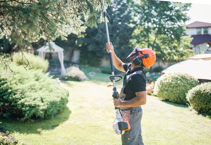 Professional gardener using a cutting machine to trim branches near a house