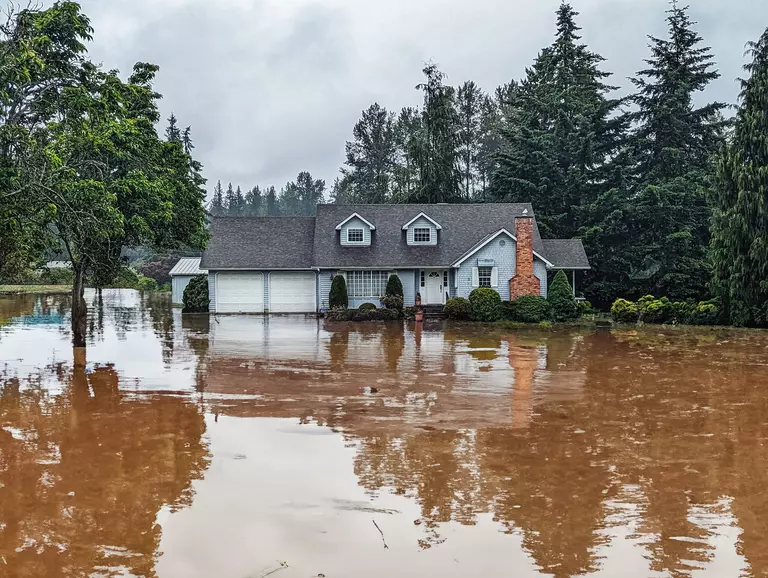 House exterior with flooded yard with trees in the background.