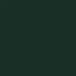 Paint - Bamboo Forest