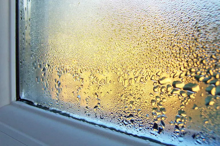 Close-up of condensation buildup on a window.