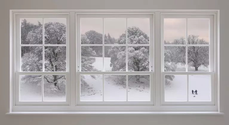 Large single-hung windows with white trim overlooking a large backyard covered in
snow.