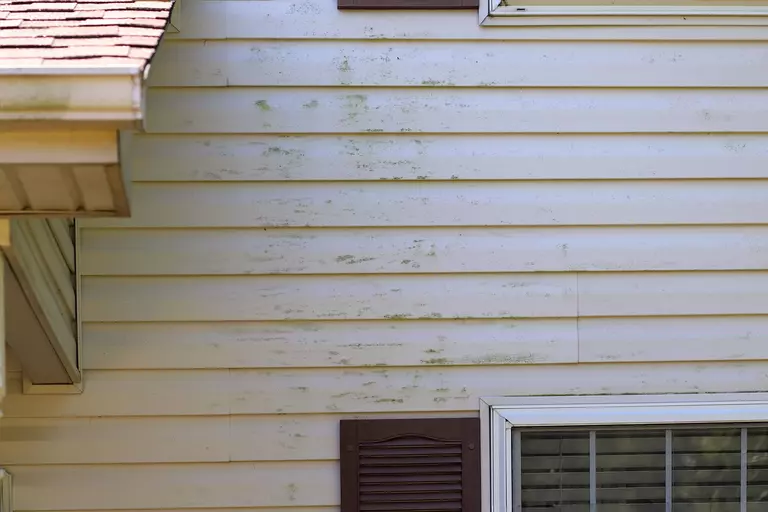 The outside of the upper story of a home with patches of dark green mold on white siding.