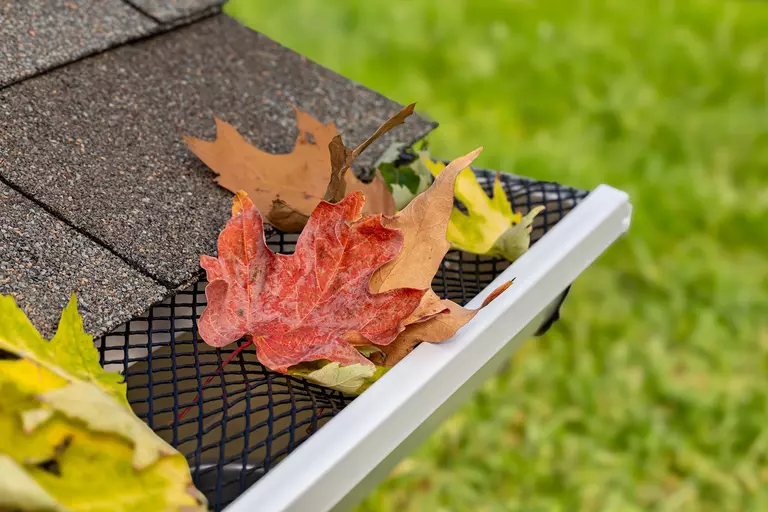 Close-up of leaves collected in gutter guard system of a home.