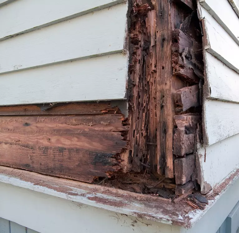 The corner of a home that has water damage behind its vinyl siding.