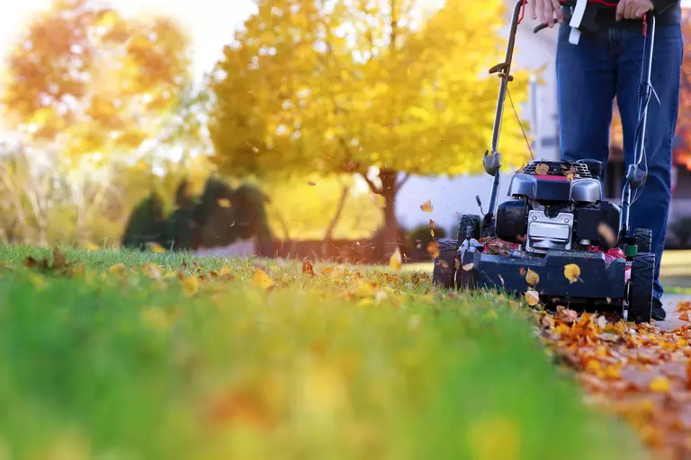 Person mowing the lawn around their home