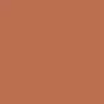 Paint - Canyon
