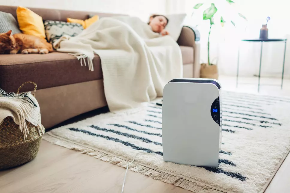 Woman on couch with humidifier on the floor
