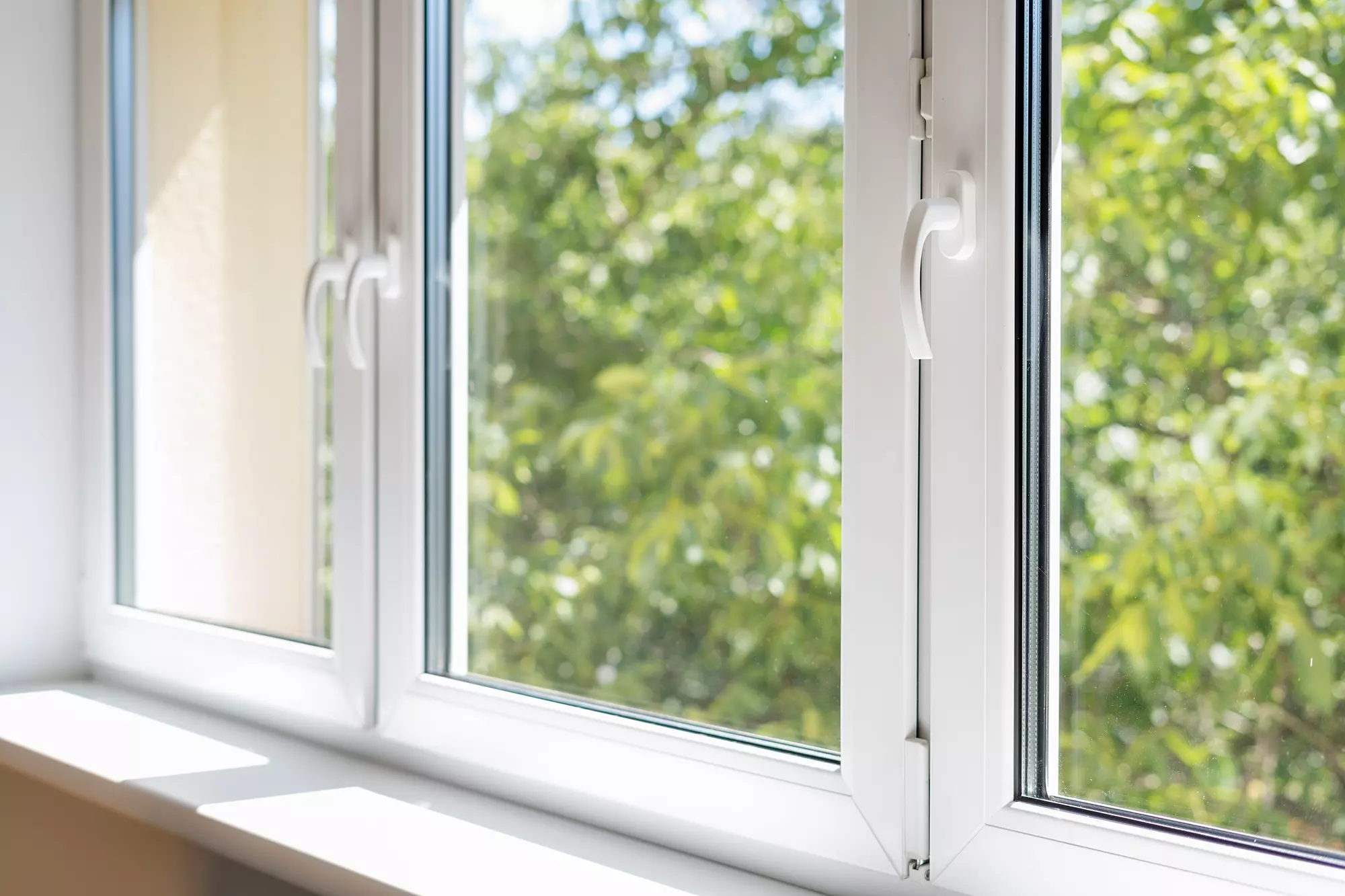 Close-up of double-pane windows with trees visible outside.