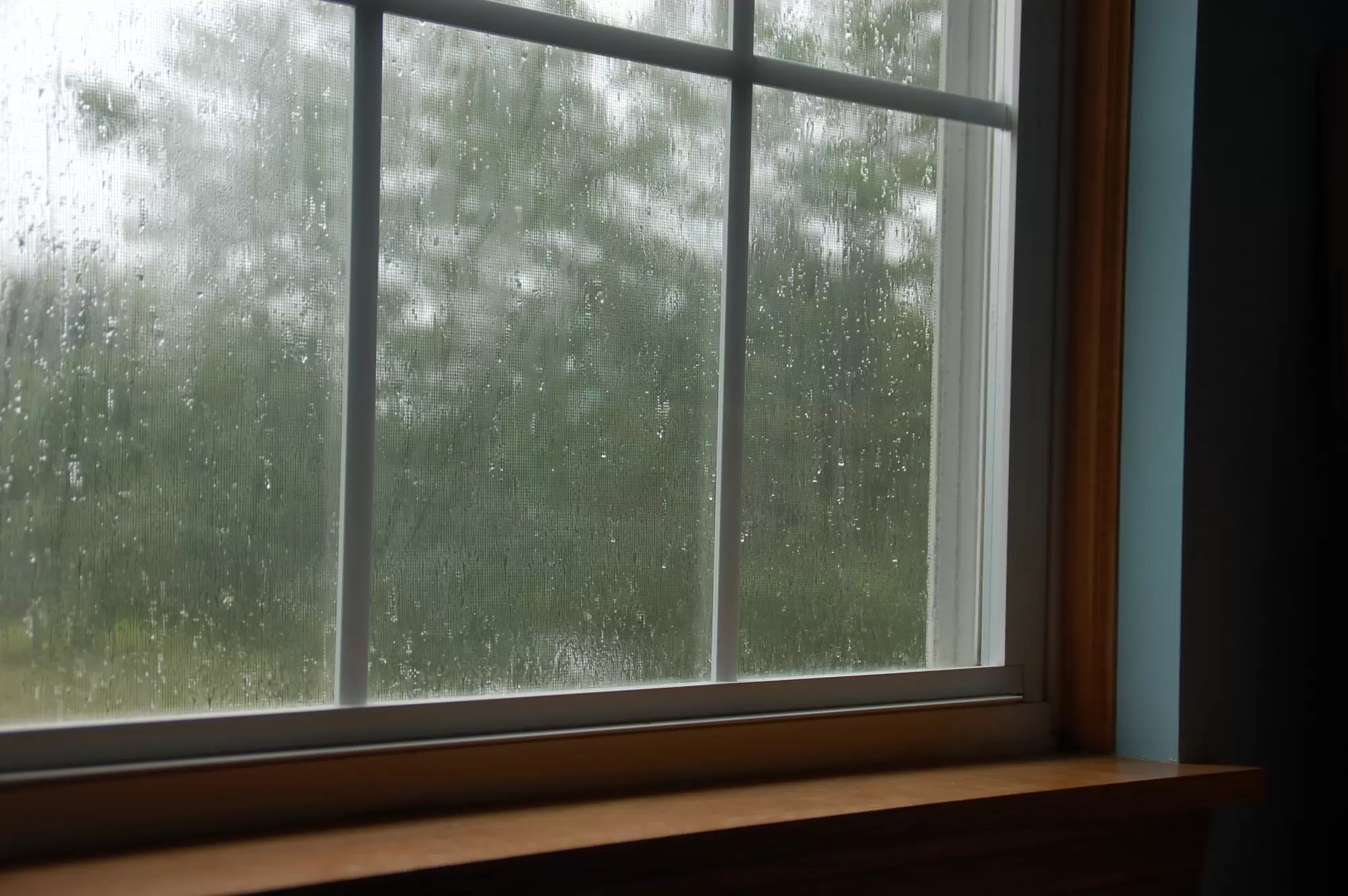 Interior of a window pane with rain droplets on the outside.