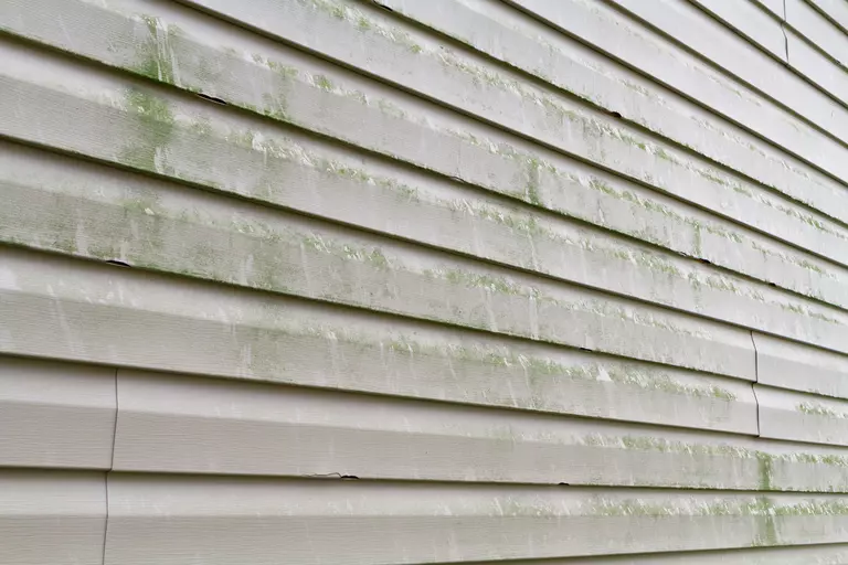 Vinyl siding on a home with mold and mildew on it.