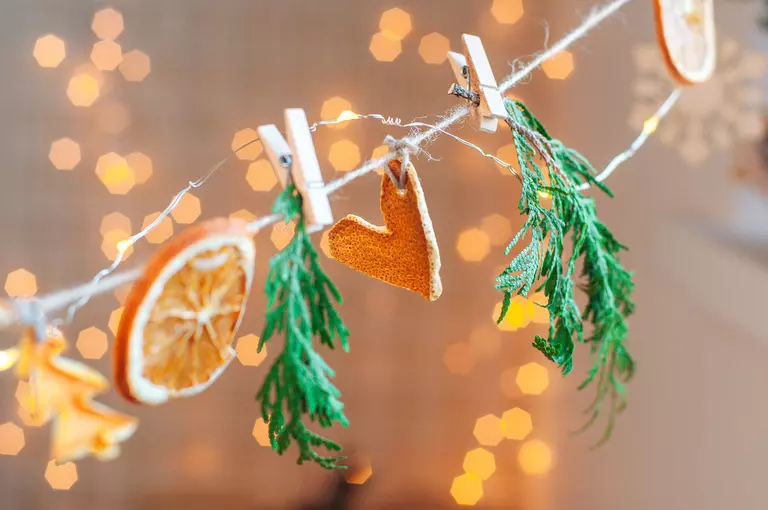 A homemade holiday garland with dried citrus and evergreen sprigs.