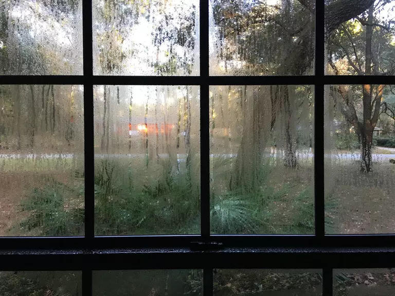 A window with condensation obscures the view outside of a suburban home.