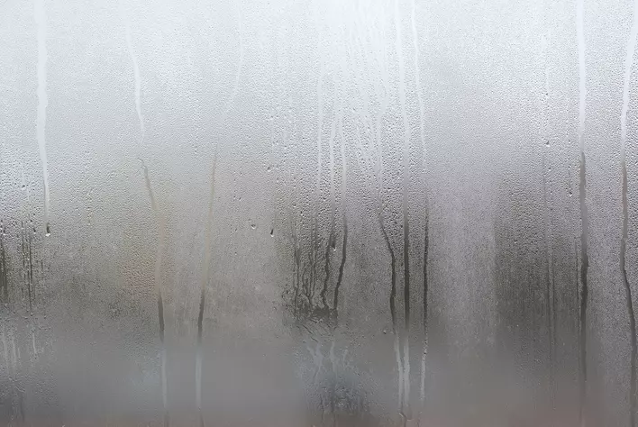 Condensation on a window blurring the view from inside to outside.