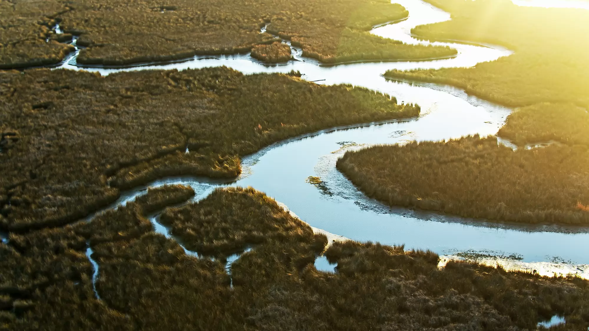 Aerial view of a large river and several tributaries.