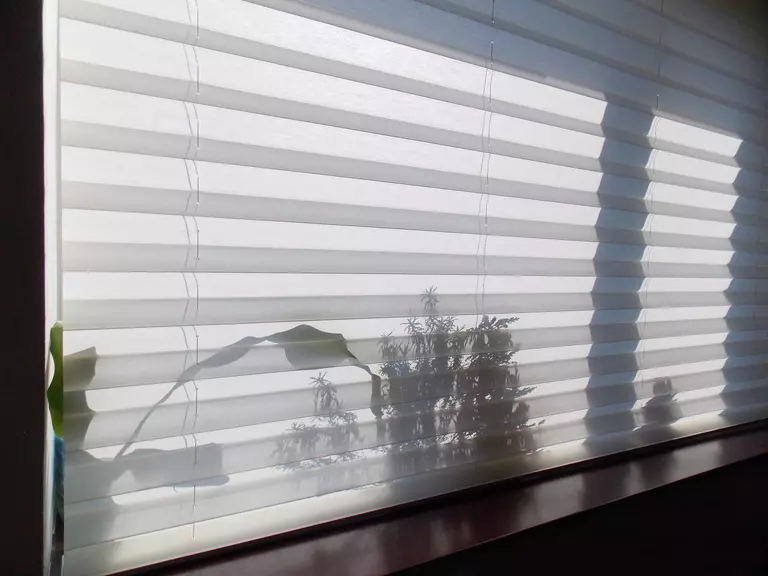 Large window with a shade pulled down in front of several plants on the sill.
