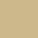 Paint - Nautilus