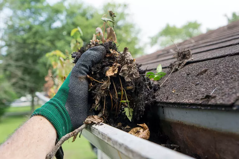 A man with a green glove on removing larger debris like leaves and big sticks from the gutters of a home.